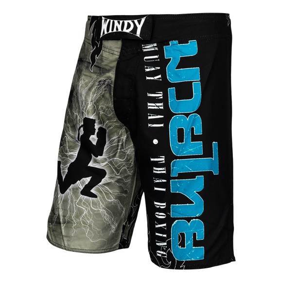 Windy MMA shorts - Windy Fight Gear