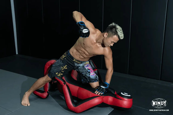 MMA