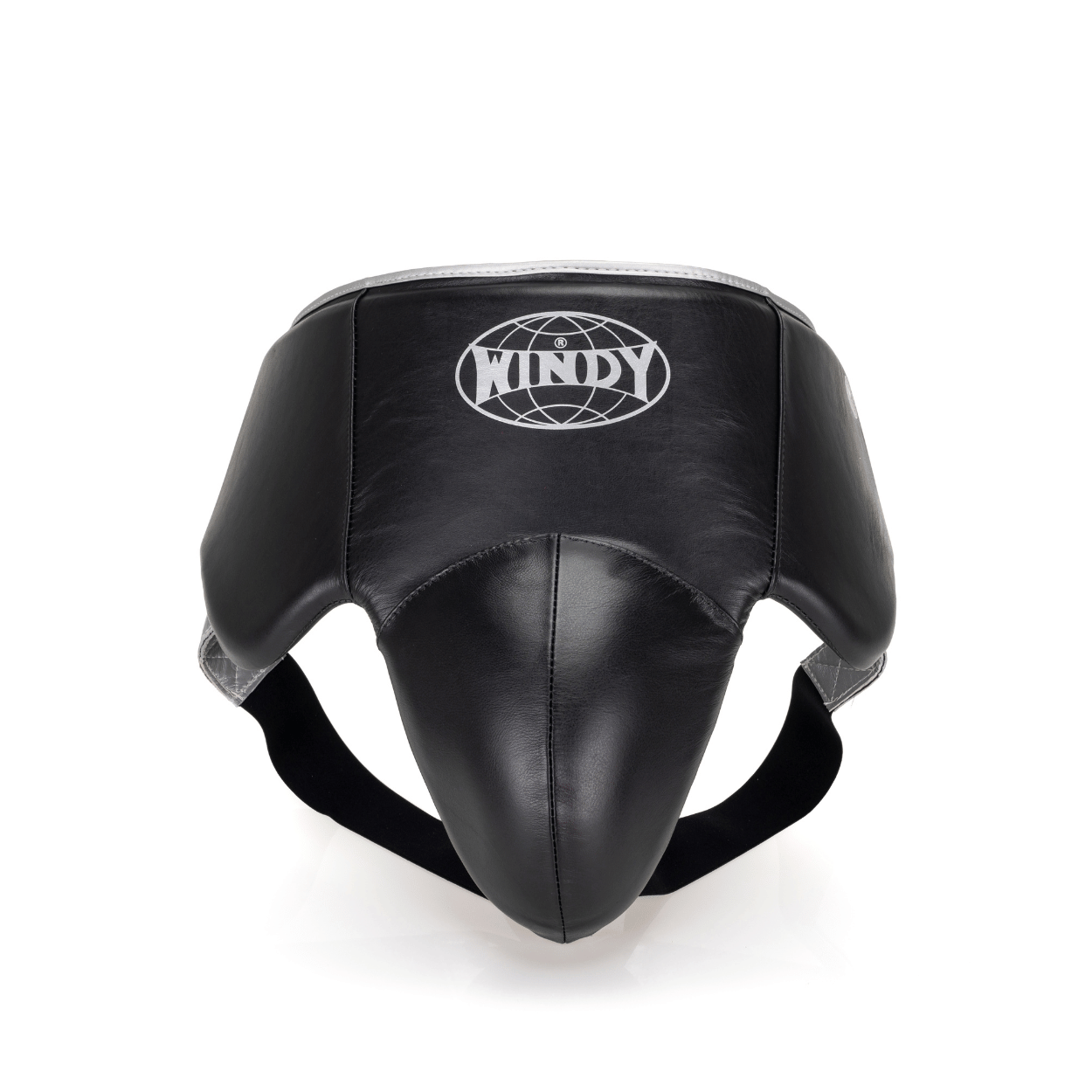 Elite Groin Guard - Black/Silver 2.0 - Windy Fight Gear B.V.