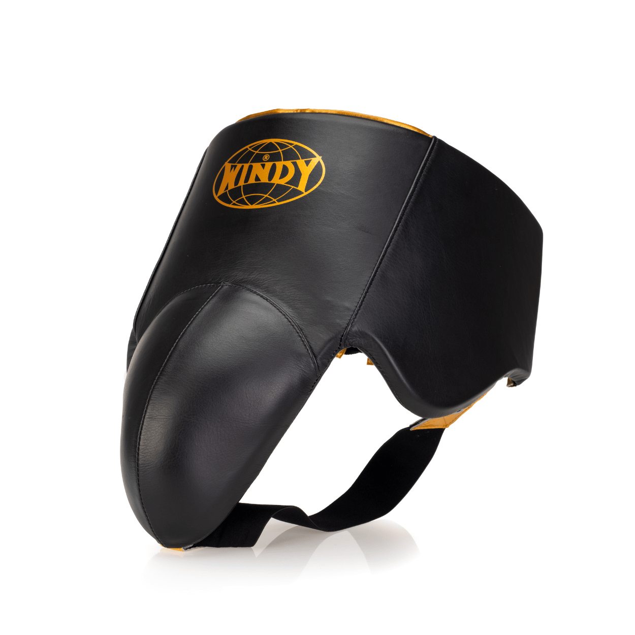 Elite Groin Guard - Black/Gold 2.0 - Windy Fight Gear B.V.
