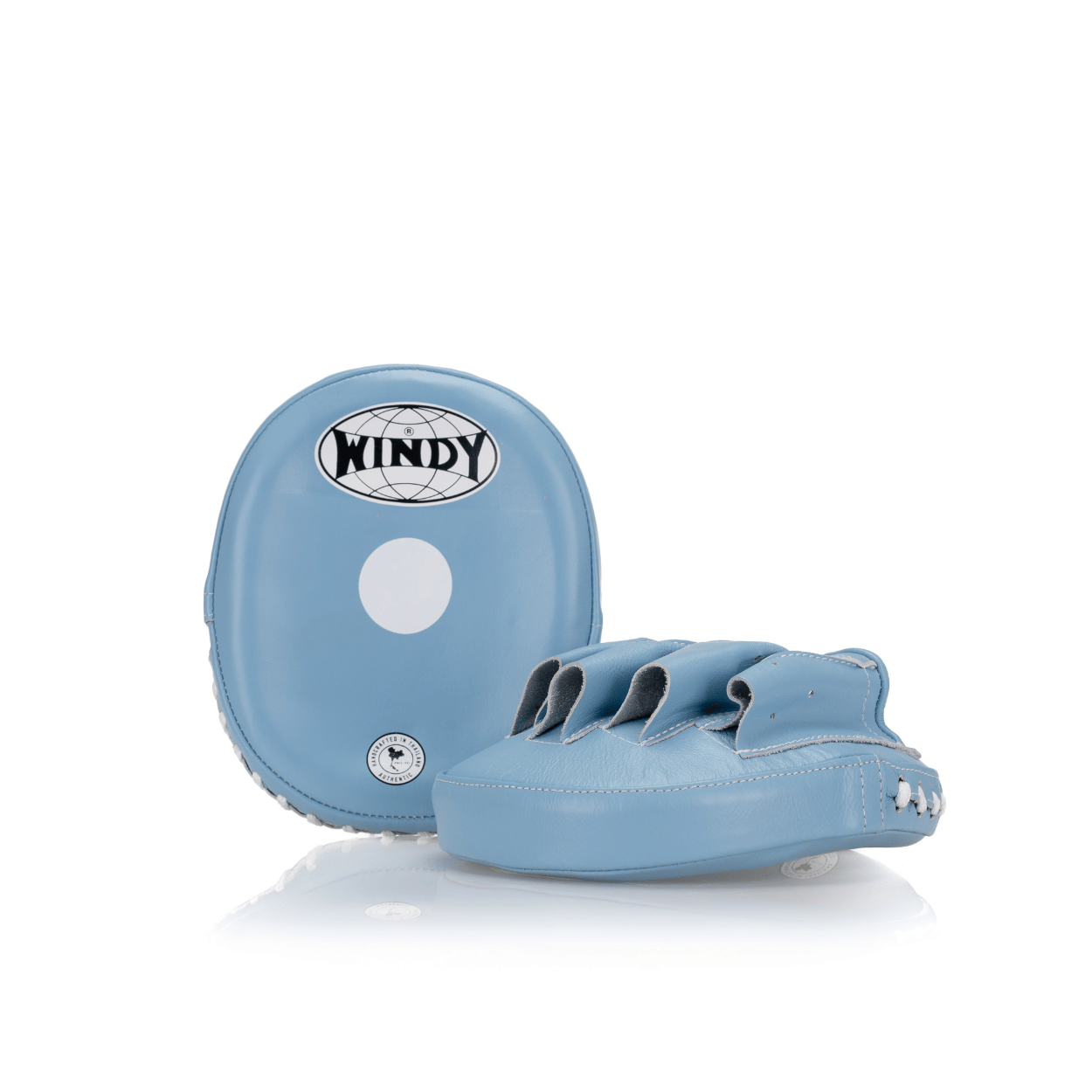 Pro Focus Mitts Leather - Baby Blue Leather - Windy Fight Gear B.V.