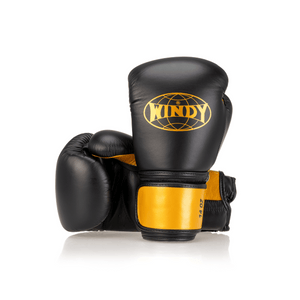 Windy Elite Series Velcro (BGE) boxing gloves view 1