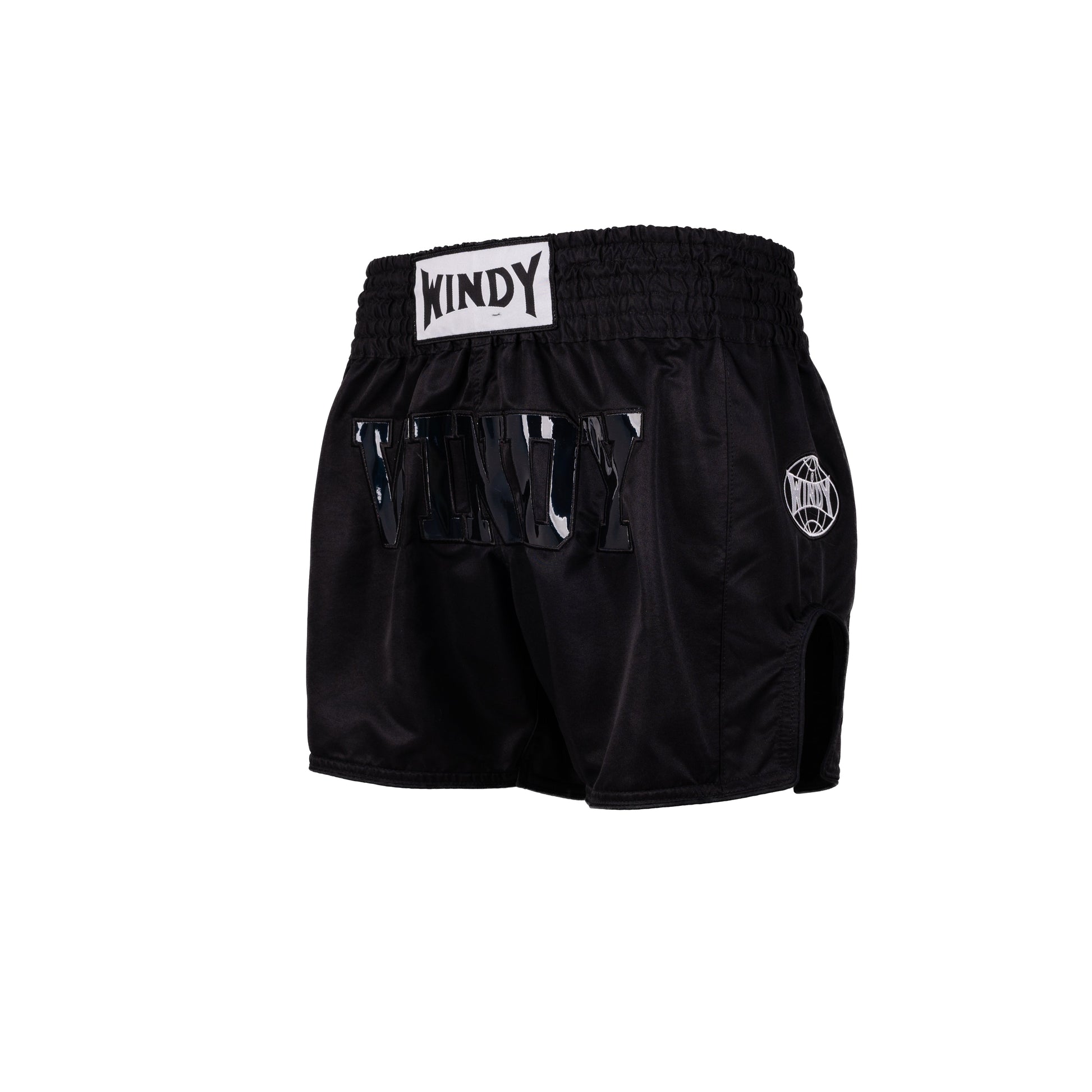 Muay Thai Shorts - Retro Holo - Triple Black Holo