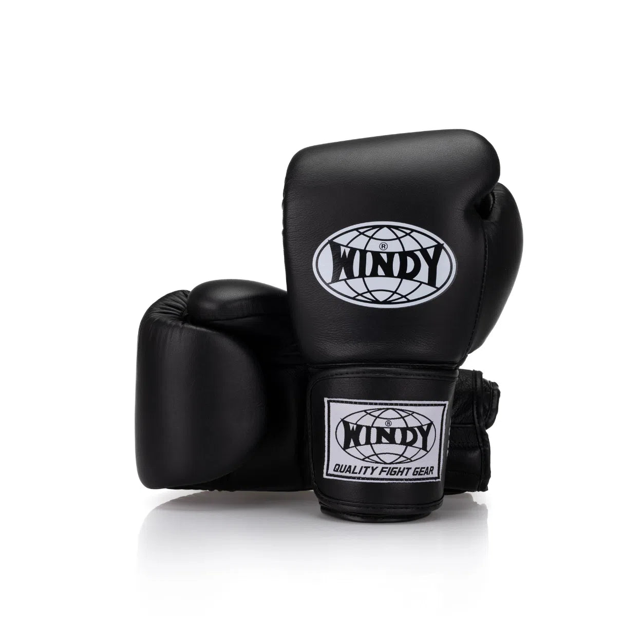 Proline Boxing Gloves